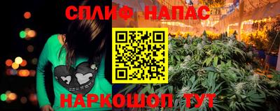 PSILOCYBIN Краснознаменск