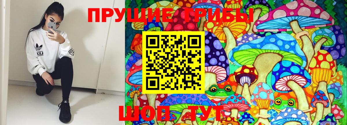 Галлюциногенные грибы Psilocybine cubensis Ульяновск