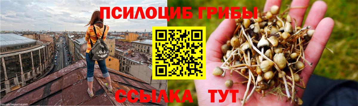 Псилоцибиновые грибы мухоморы  Галлюциногенные грибы Cubensis  Вход с VPN  Ульяновск 